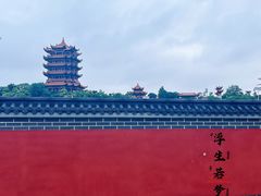 -黄鹤楼公园(黄鹤楼)