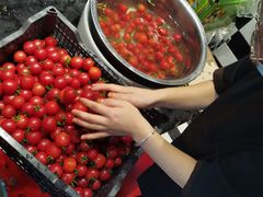 -九田家黑牛烤肉料理(长春路友好店)