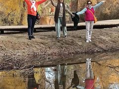 -金塔沙漠胡杨林景区
