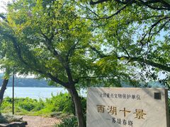 -浙江省博物馆(孤山馆区)