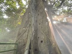 -青青世界