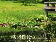 -杭州植物园