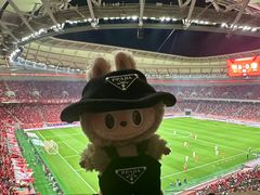 -八万人体育馆-外场足球场