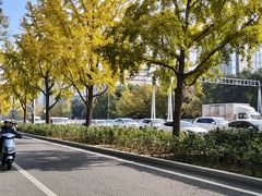 -三石铁板烧(紫竹桥店)