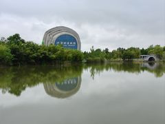-泗洪洪泽湖湿地景区
