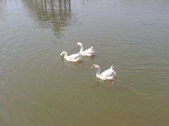 -木兰水镇旅游景区