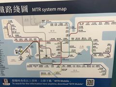 -油麻地果栏