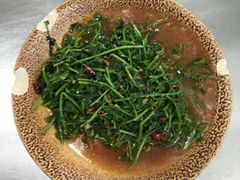 炒洋丝瓜尖-汤锅大王(新平曹苏黄牛汤锅有限公司)