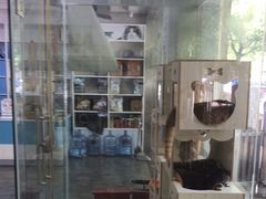 -暖阳宠物医院·犬猫康复中心·骨科