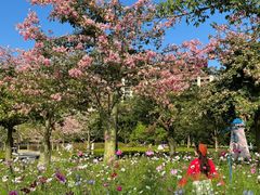 -清远熹乐谷温泉度假酒店