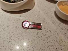 -海底捞火锅(吾悦国际广场店)