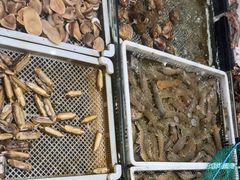 -映像威海·海鲜味道(经区店)