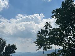 -广州市石门国家森林公园