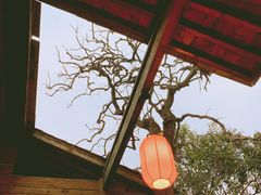 -西安国际创新人才交流中心•药浴温泉