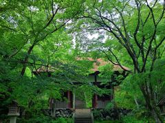-常寂光寺