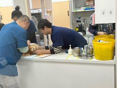 -康成宠物医院24H·CT·核磁共振