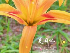 -后襄河公园