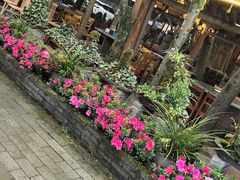 -土砂锅生态山庄·非遗砂锅雅鱼