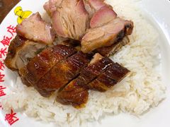 烧肉烧鸭双拼饭-陈光记烧腊店(罗保博士街店)
