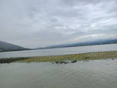 -西昌邛海湿地