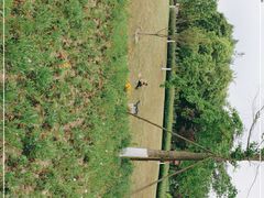 -眉山湿地公园(东坡区)