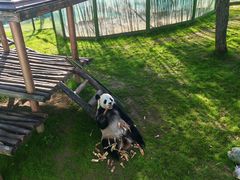 -栾川竹海野生动物园