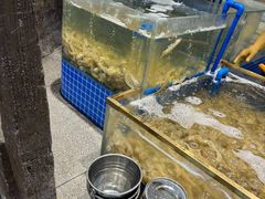 -半岛听涛蒸汽海鲜自助(K11店)