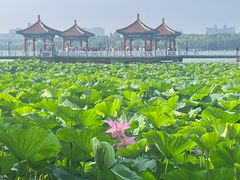 -长春市南湖公园