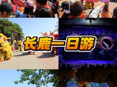 -长鹿旅游休博园