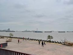 -上海滨江森林公园