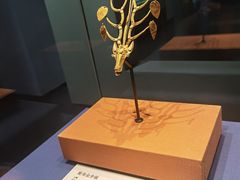 -青岛市博物馆