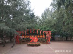 -北海金海湾红树林生态旅游区