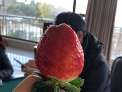 -西昌邛海宾馆