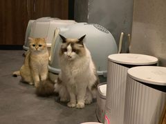 -咖法森林·咖啡  酒吧(天河店)