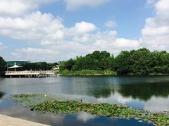 景点-新江湾城公园