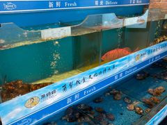 -甬妈妈湖畔里餐厅(唐山南湖旅游景区店)