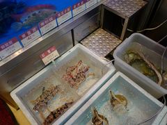 水产区-協成海鮮火鍋(老店)