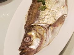 清蒸太湖大白条-淮扬厨子(健康路店)