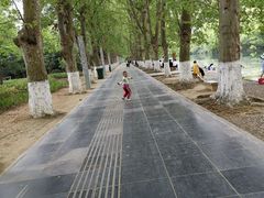 -贵阳市花溪国家城市湿地公园