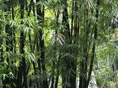 -成都杜甫草堂博物馆