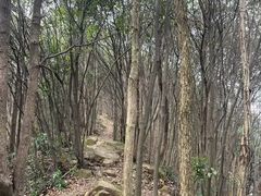 -午潮山国家森林公园