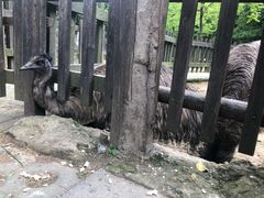 -南昌动物园