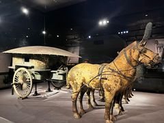 -秦始皇帝陵博物院(兵马俑)