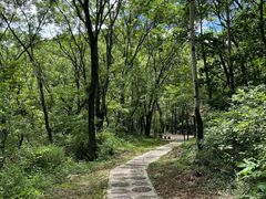 -玉渡山自然风景区