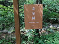 -本溪汤沟绿石谷森林公园
