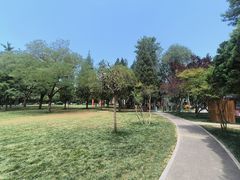 园内环境-双榆树公园