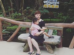 -绿光森林餐厅