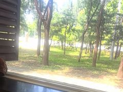 -楊家一锅(沙阳路店)