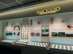 -中国茶叶博物馆(双峰馆区)