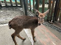 -成都欢乐谷